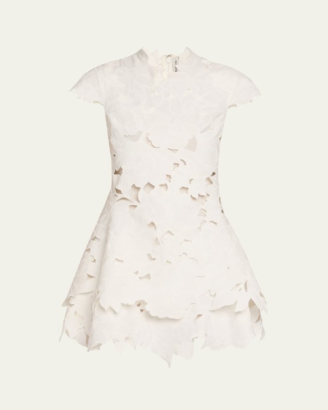 Holloway Embroidered Mini Dress